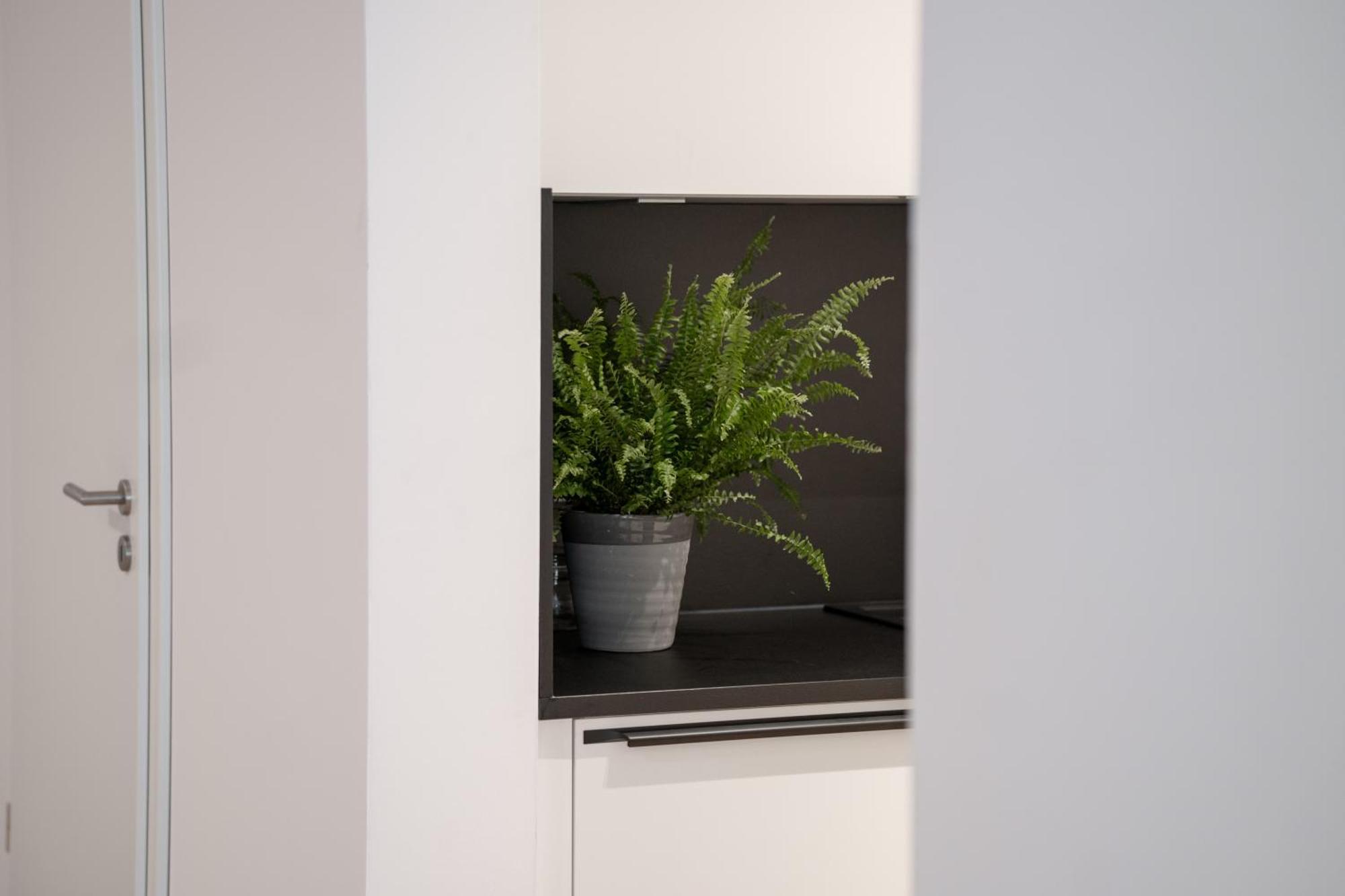 Schoentalhaus City Apartments Mit Balkon 阿沙芬堡 外观 照片